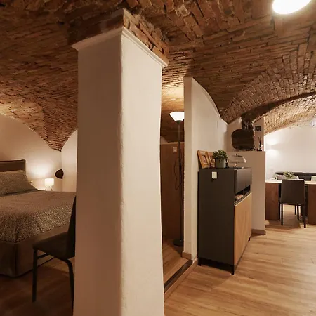 Apartment Luxury Vault - Historic Center